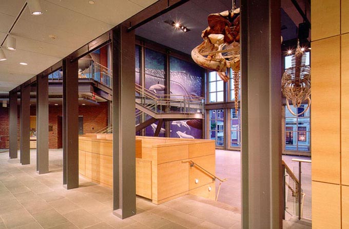 New Bedford Whaling Museum photo